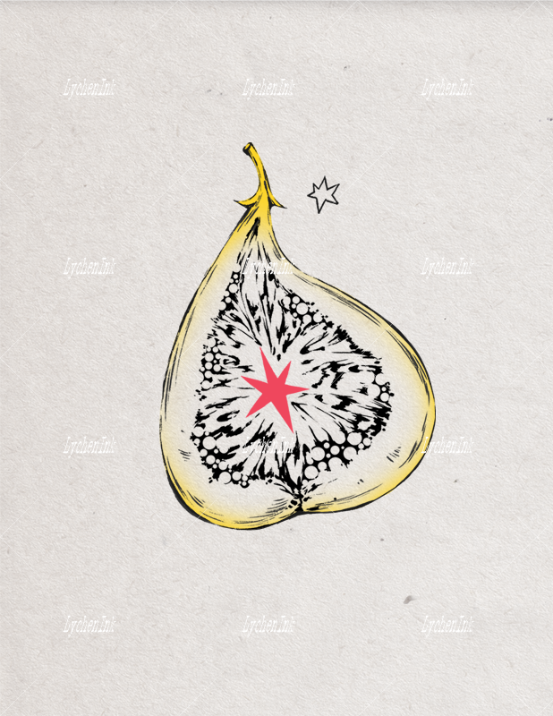 Flash Sheet - Rainforest Vol.01