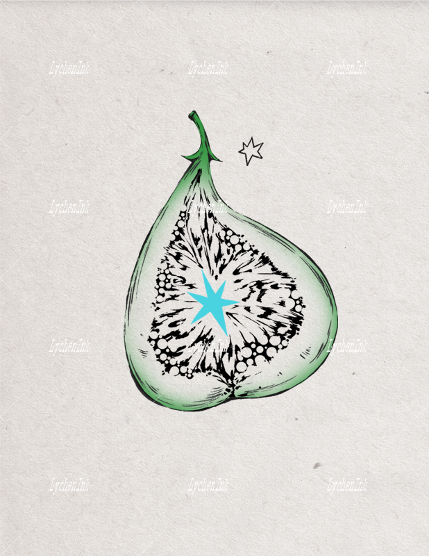 Flash Sheet - Rainforest Vol.01