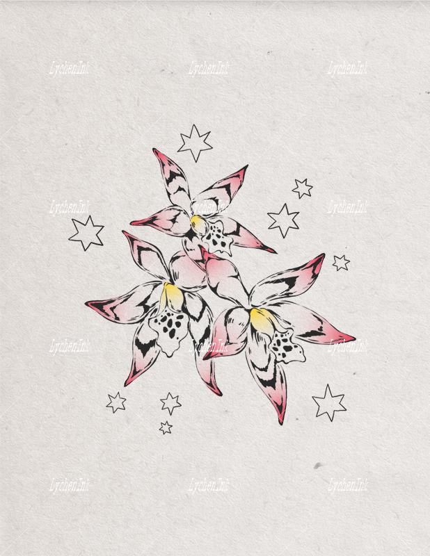 Flash Sheet - Rainforest Vol.01