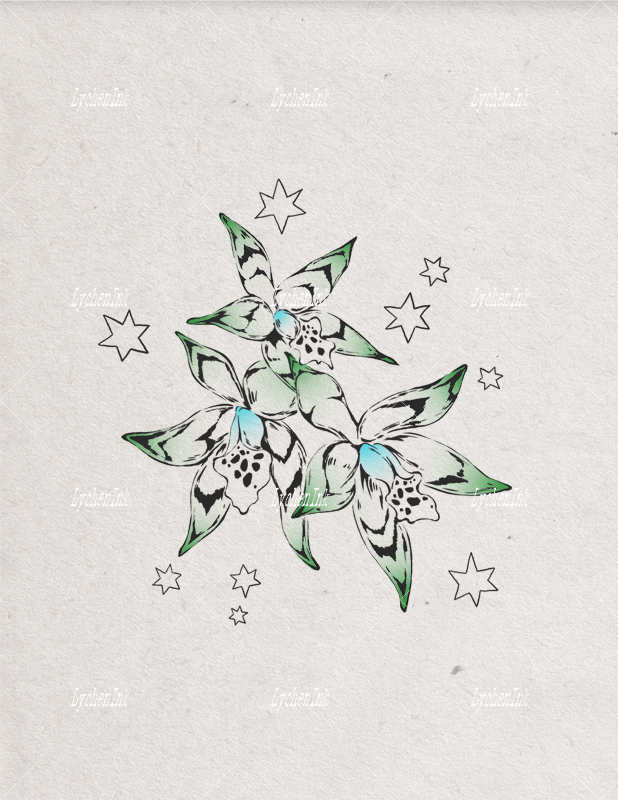 Flash Sheet - Rainforest Vol.01