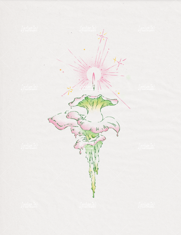 Flash Sheet - Rainforest Vol.02